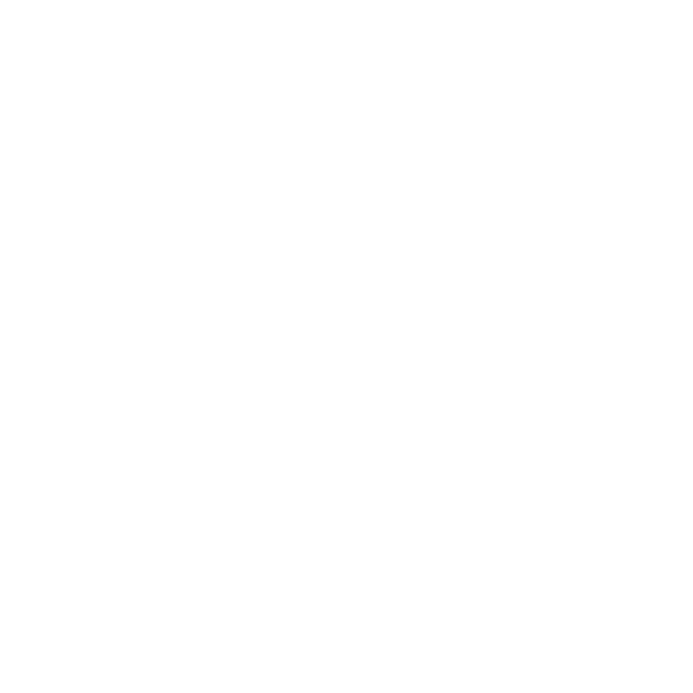 Verzax Logo